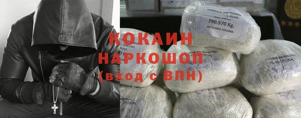 spice Алексин